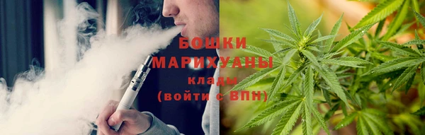 mdpv Вяземский