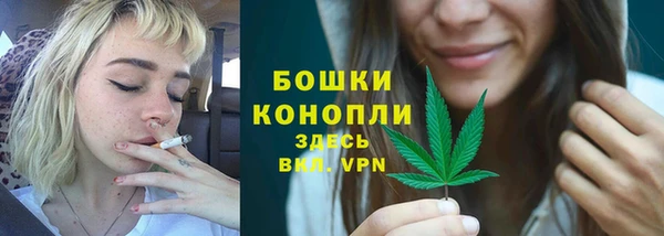 mdpv Вяземский