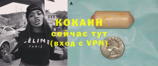 mdpv Вяземский