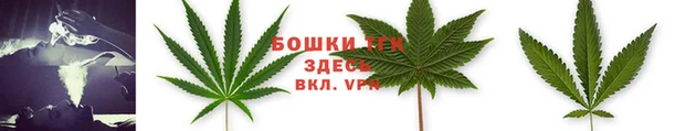 mdpv Вяземский