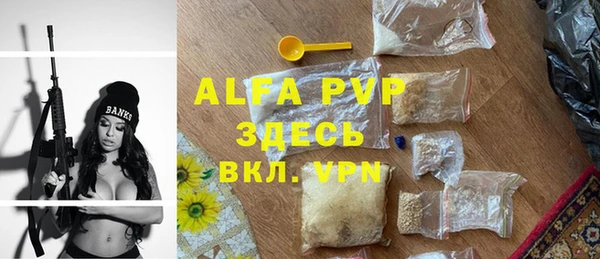 mdpv Вяземский