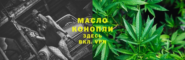 mdpv Вяземский