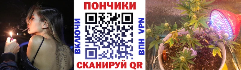 Купить закладки  Курчалой  Шишки марихуана MAZAR 